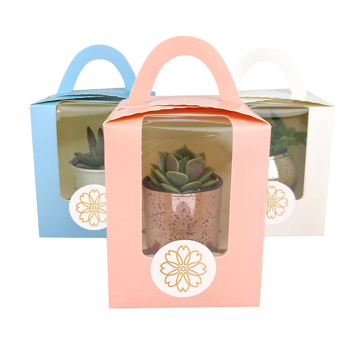 Plant Carrier Bag, Succulent Gift Box, Holiday Gift Ideas