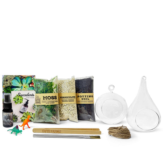 Round & Teardrop Terrarium Kit