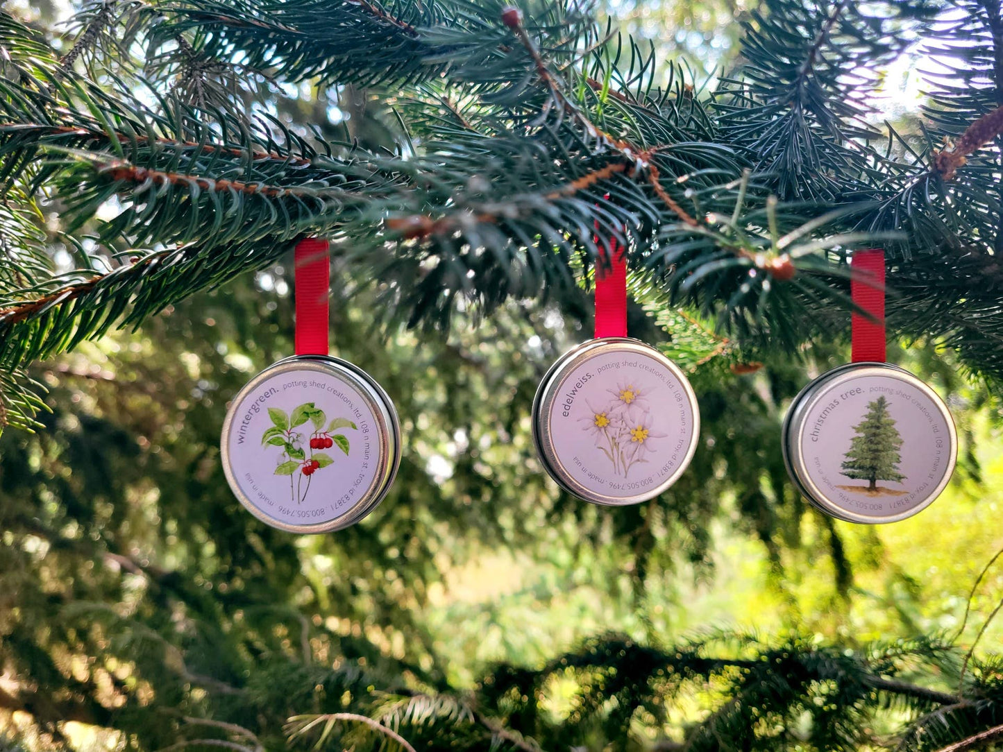 Garden Sprinkles Christmas Ornament | Wintergreen