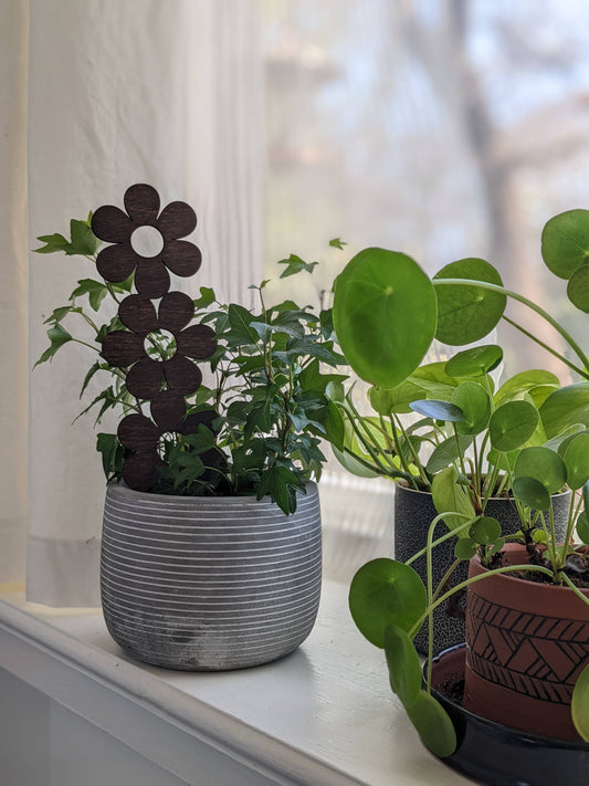 Plant Trellis - Daisies