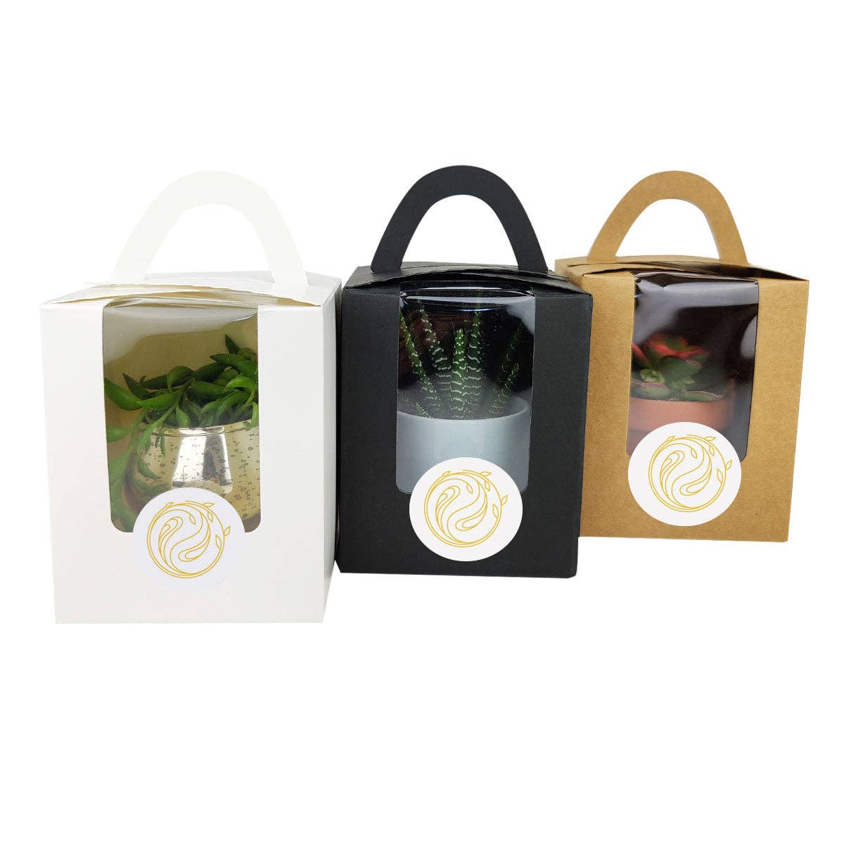 Plant Carrier Bag, Succulent Gift Box, Holiday Gift Ideas