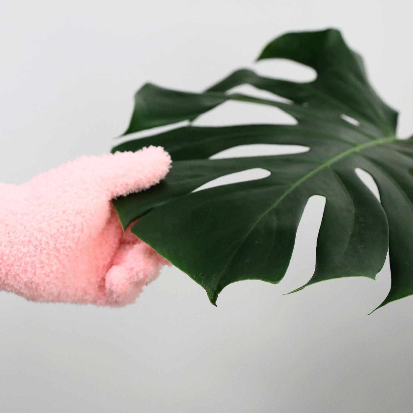 Microfiber Gloves - Leaf-Shining Gloves