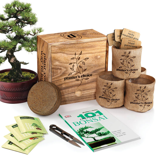 Bonsai Growing Kit