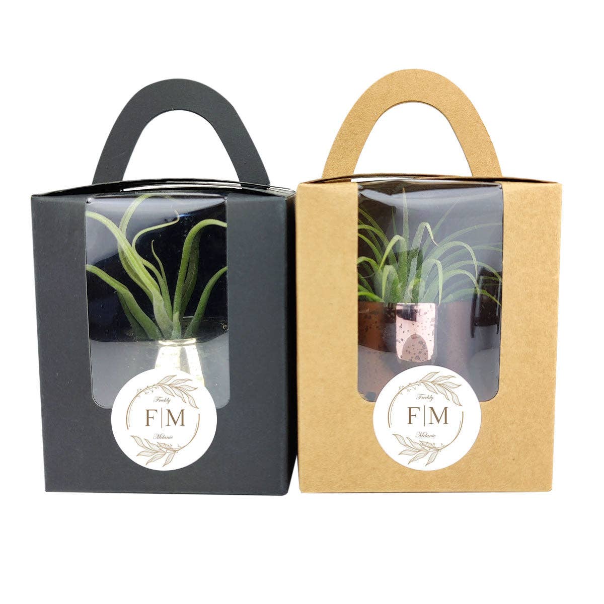 Plant Carrier Bag, Succulent Gift Box, Holiday Gift Ideas