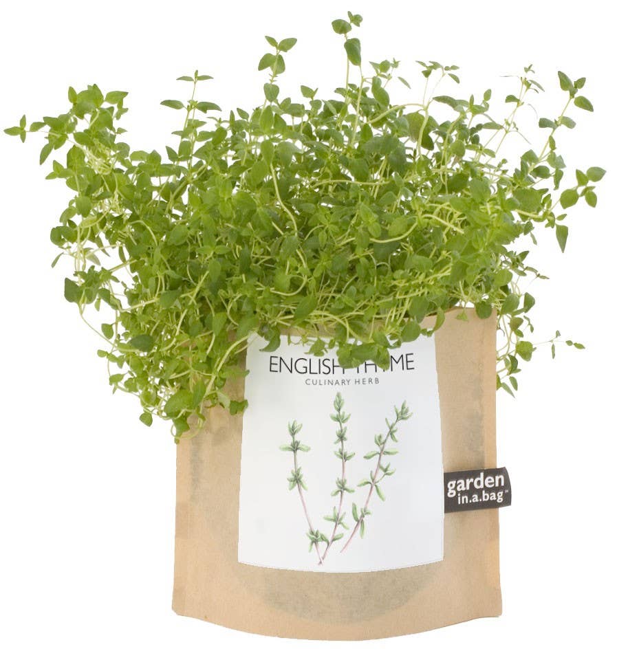 Garden in a Bag | English Thyme