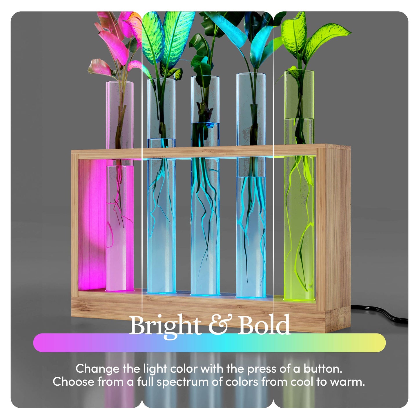 Light Up Bamboo Vial Air Planter