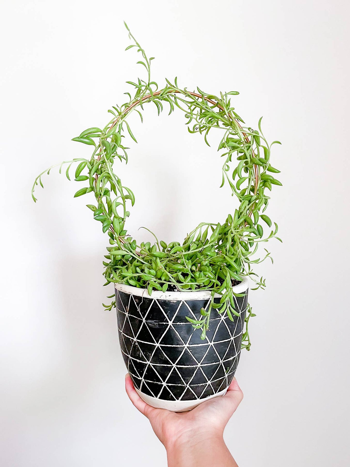 Copper Endless Circle Plant Trellis - 3 Sizes!