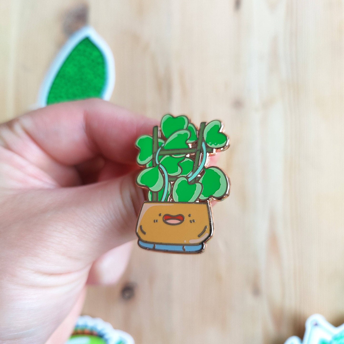 Variegated Hoya Kerrii Enamel Pin