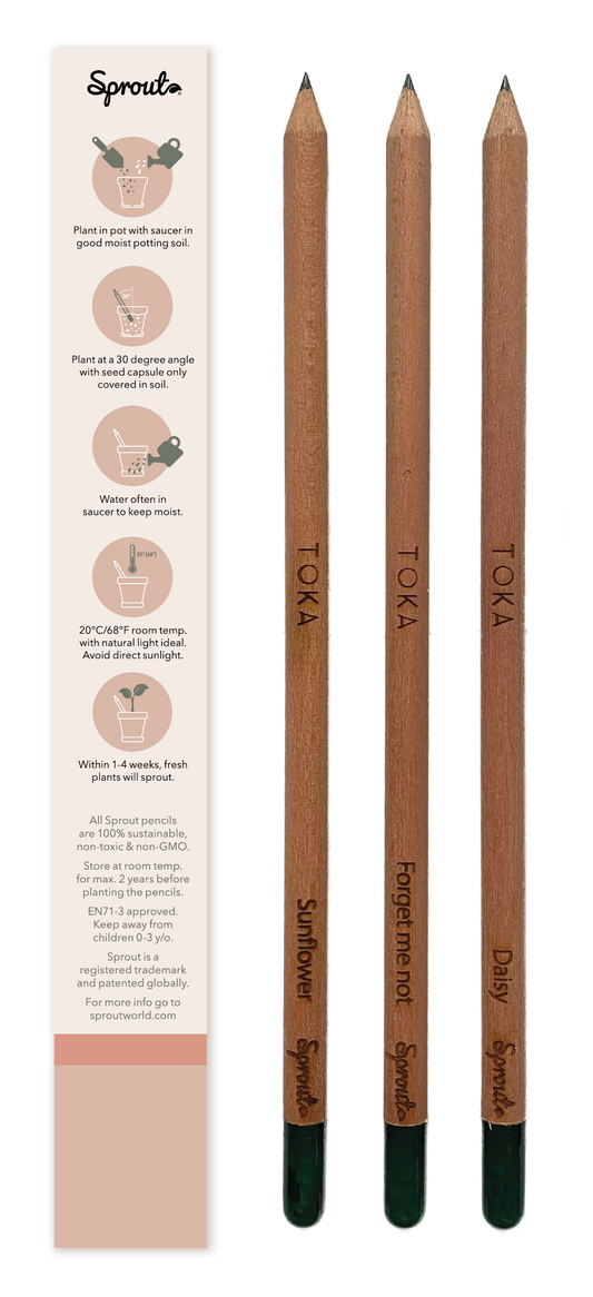 TOKA | Plantable Pencils | 3 Pack | Florals