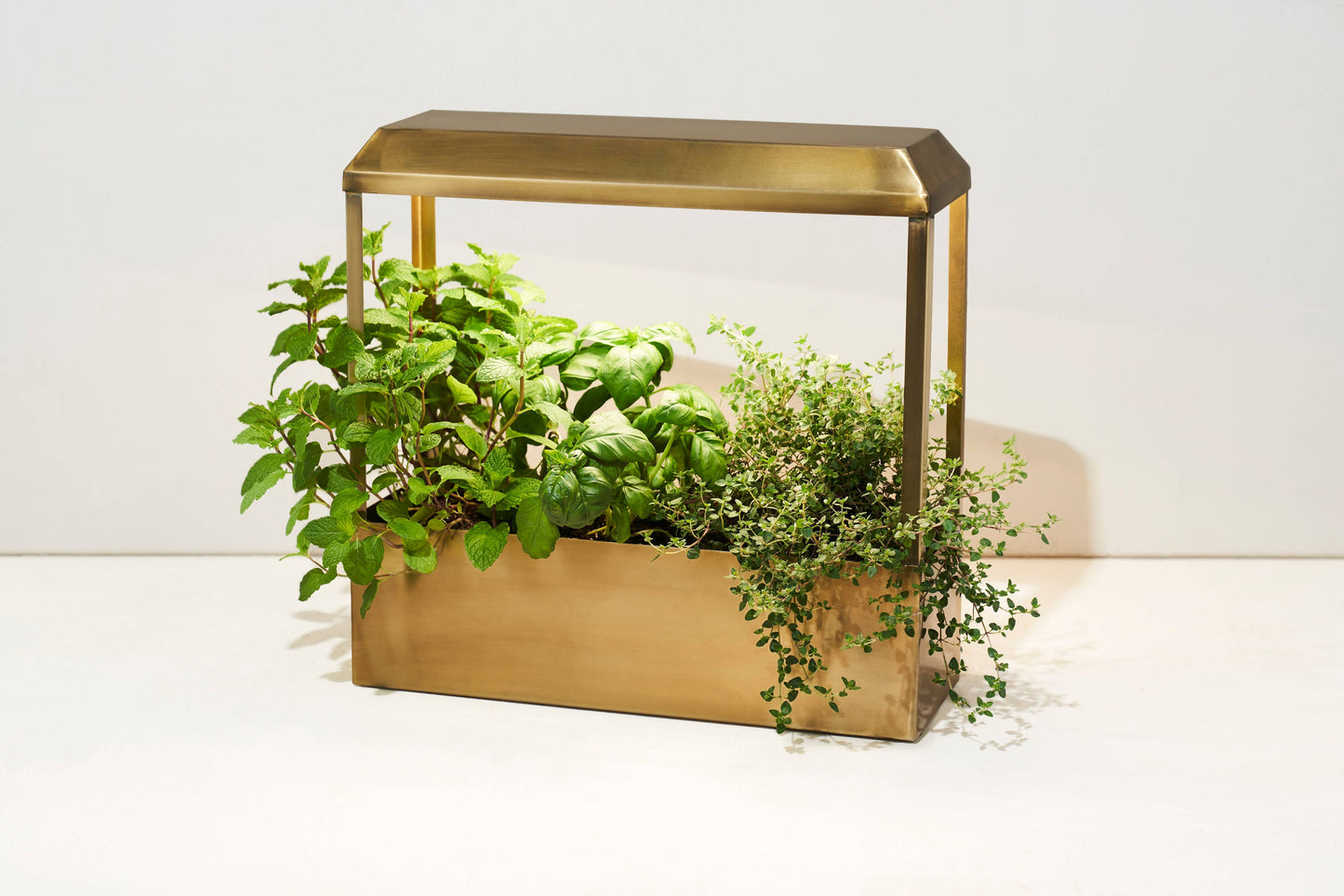 Smart Growhouse - Brass
