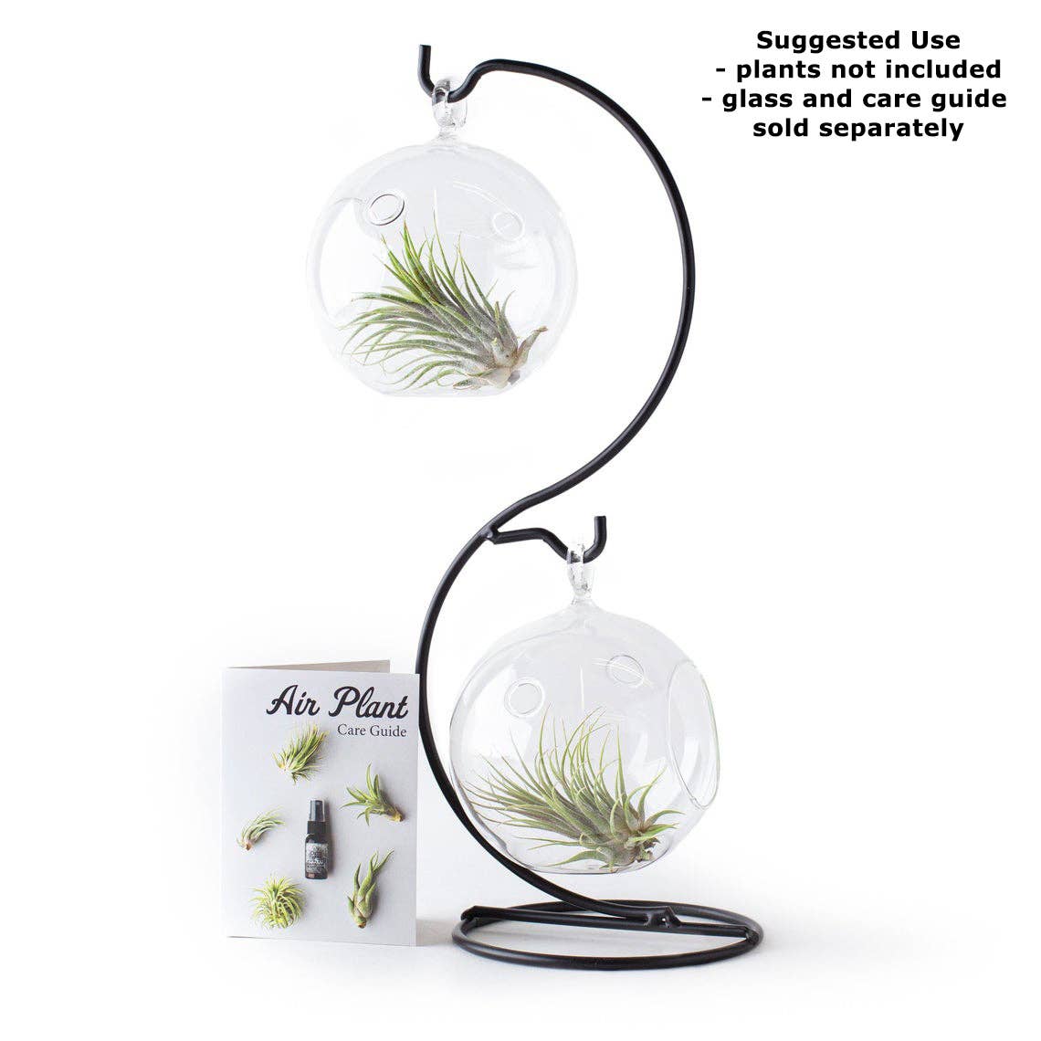 Terrarium Stand - Black