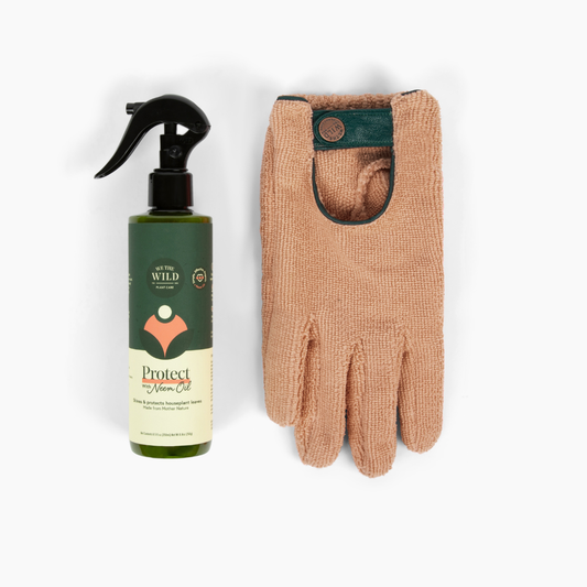 We the Wild ProudPlant Mum Leaf Care Kit