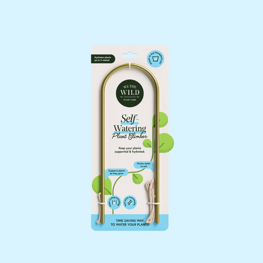 We the Wild - Self-Watering Plant Climber