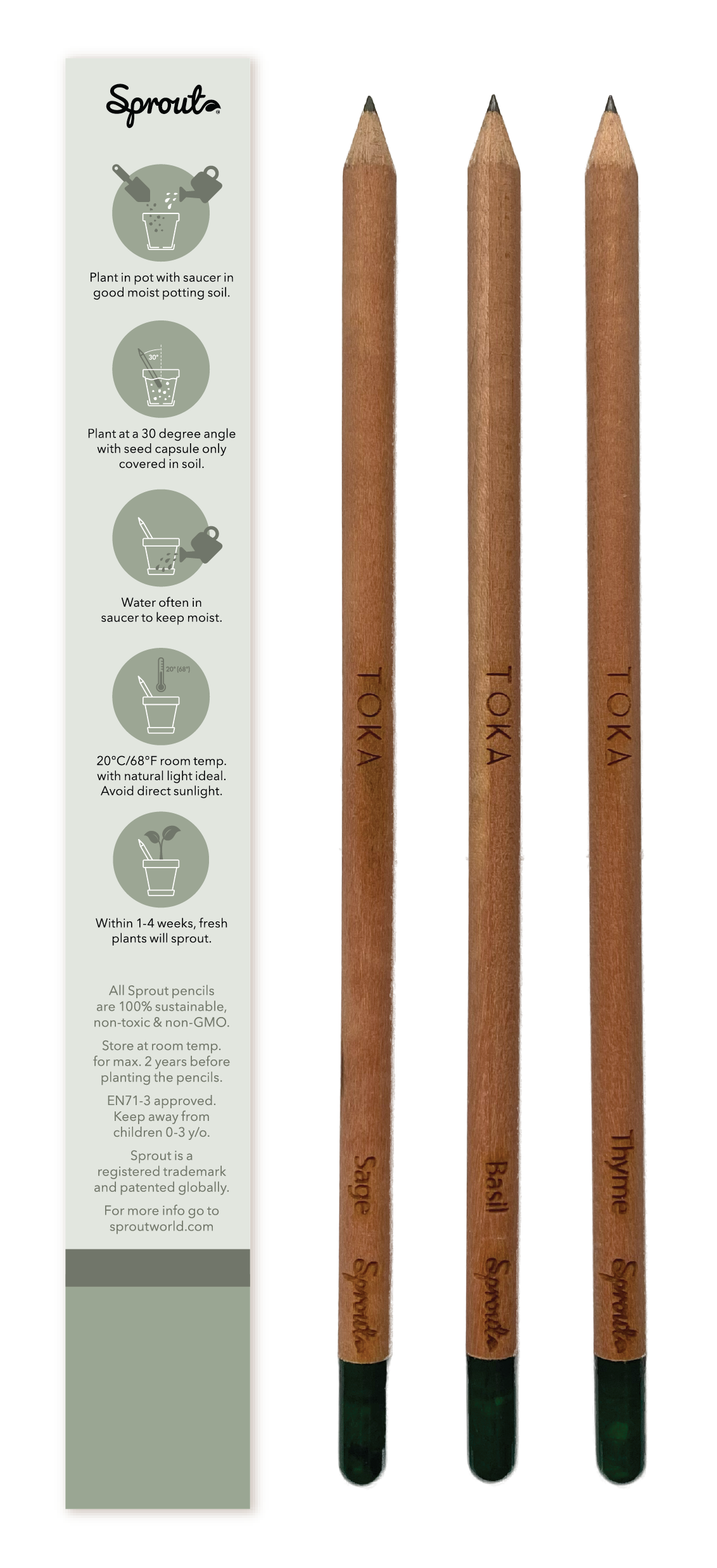 TOKA | Plantable Pencils | 3 Pack | Herbs