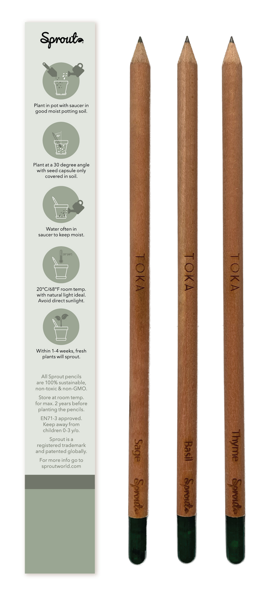 TOKA | Plantable Pencils | 3 Pack | Herbs