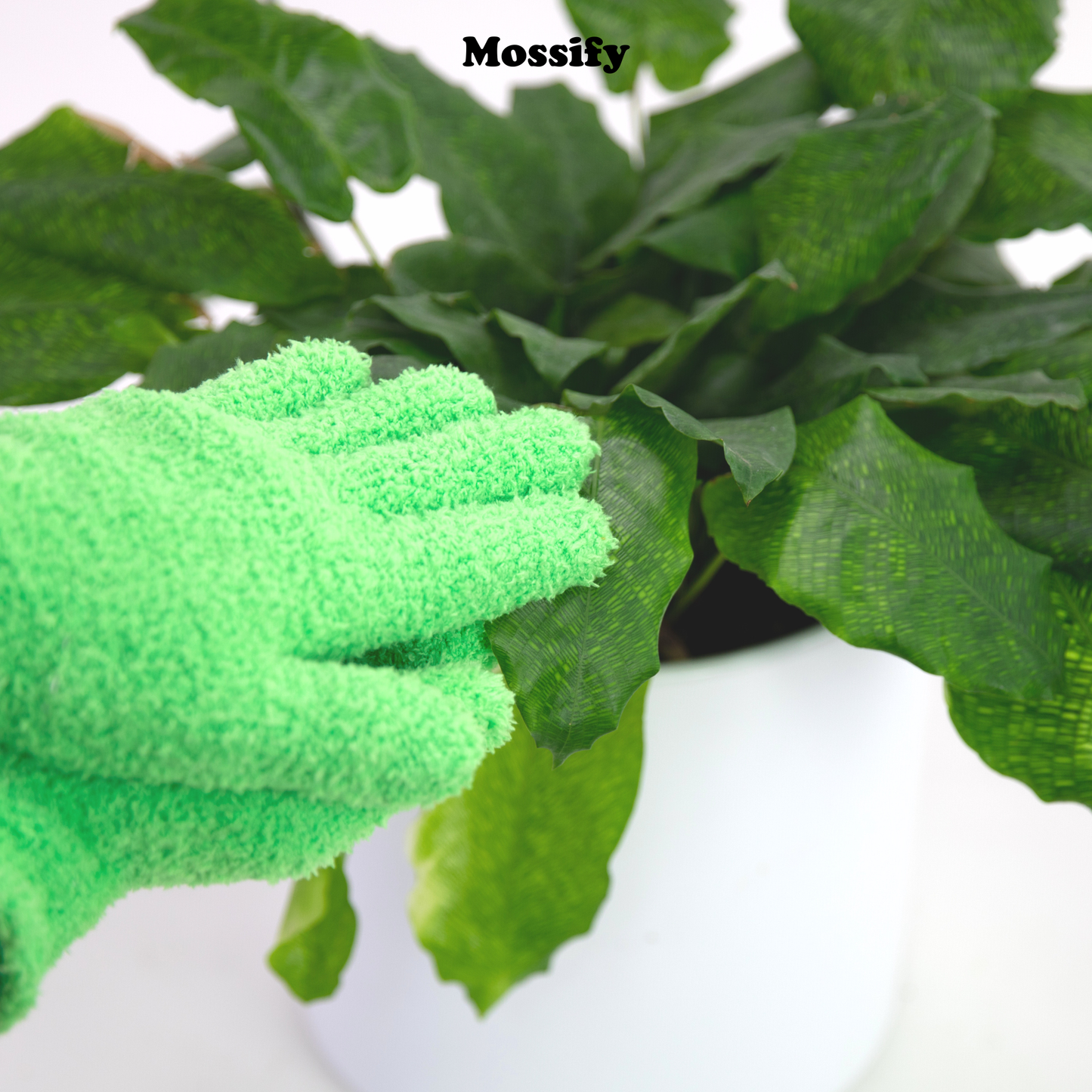 Microfiber Gloves - Leaf-Shining Gloves