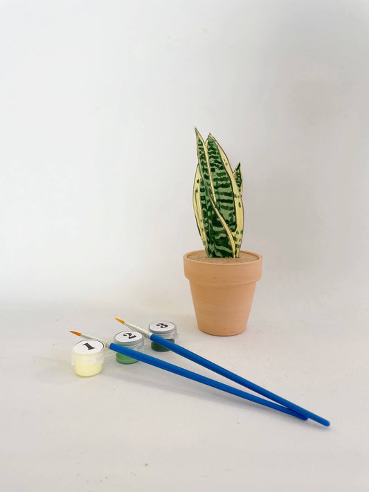 Paint Your Own: Snake Plant