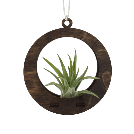 Mini Air Plant Hanger Circle Walnut