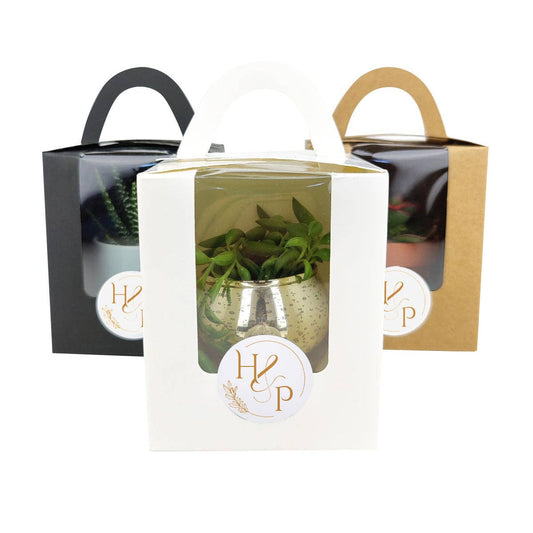 Plant Carrier Bag, Succulent Gift Box, Holiday Gift Ideas