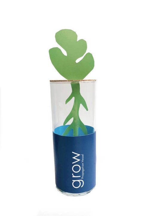 Propagation Vessel | 11oz Medium | Great Christmas Gift idea!