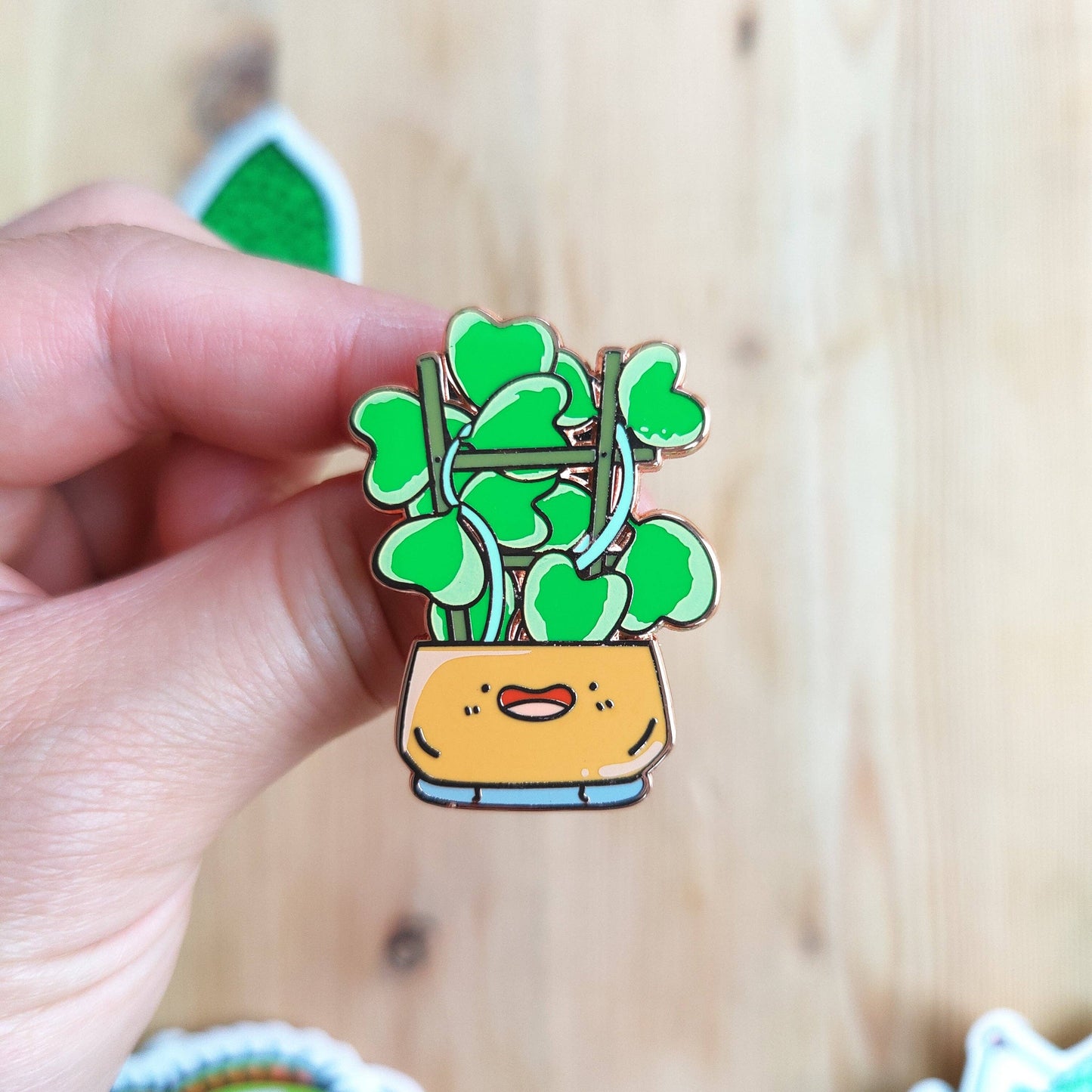 Variegated Hoya Kerrii Enamel Pin