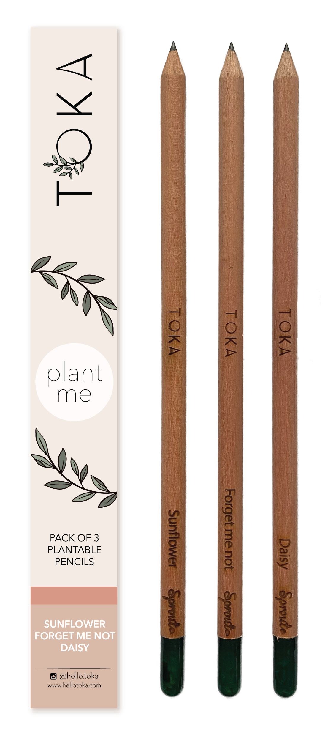 TOKA | Plantable Pencils | 3 Pack | Florals