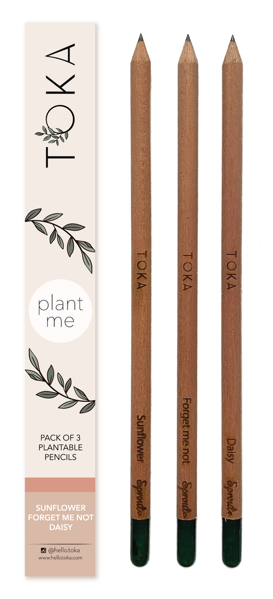 TOKA | Plantable Pencils | 3 Pack | Florals