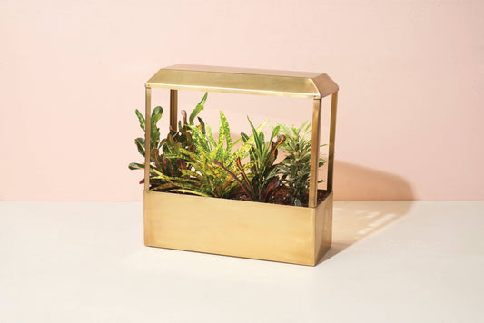 Smart Growhouse - Brass