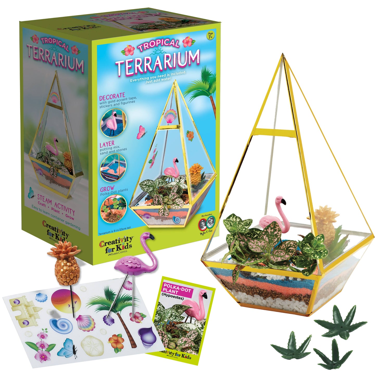 Tropical Terrarium