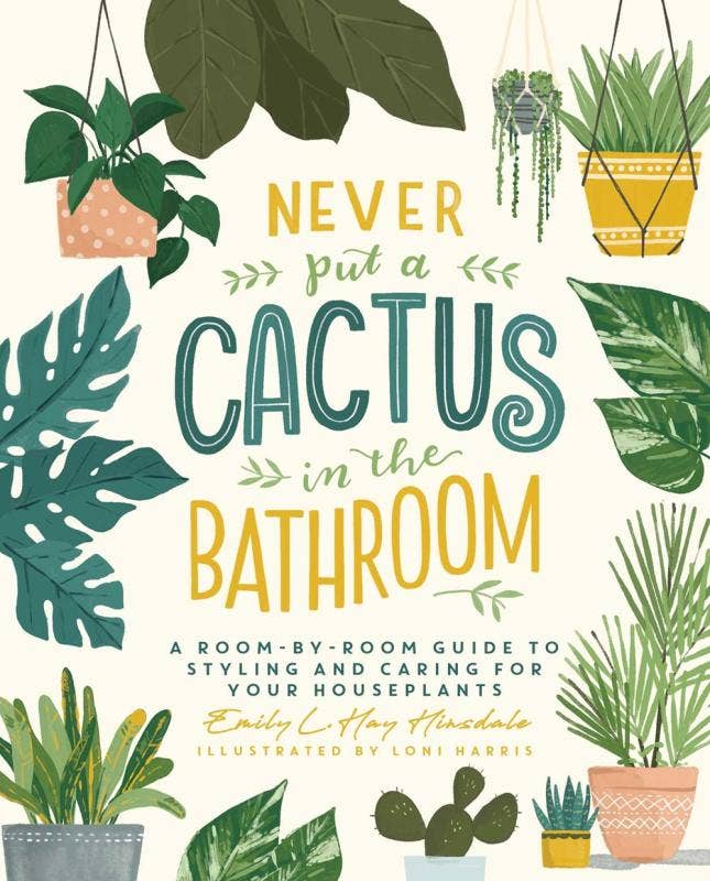 Never Put a Cactus in the Bathroom: A Room-by-Room Guide