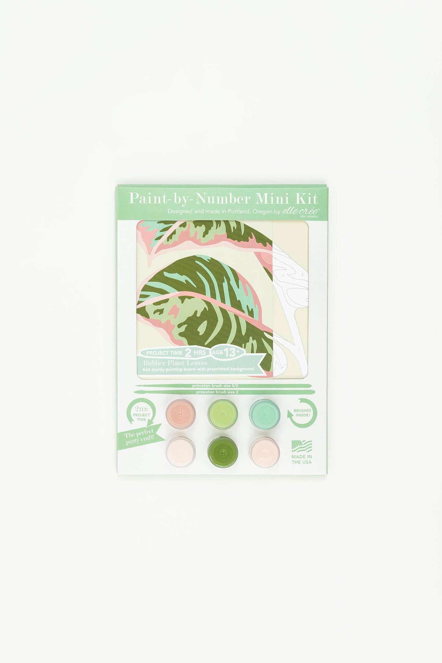 Rubber Plant Leaves MINI Paint-by-Number Kit