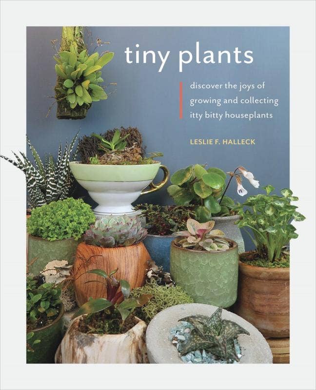 Tiny Plants: Discover the joys of growing and collecting