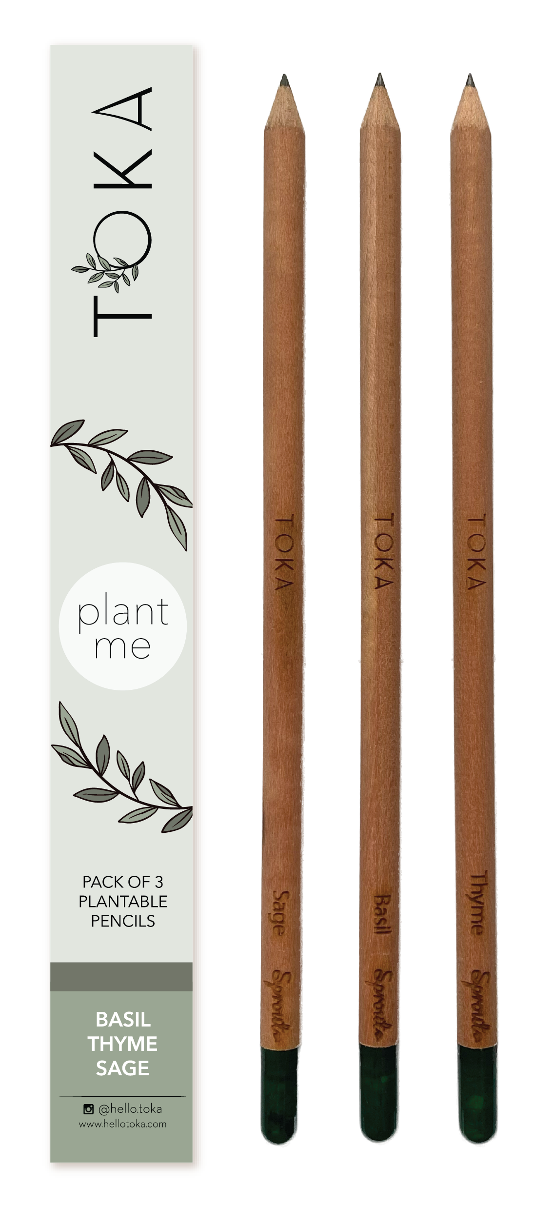 TOKA | Plantable Pencils | 3 Pack | Herbs