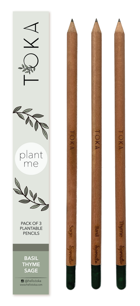 TOKA | Plantable Pencils | 3 Pack | Herbs