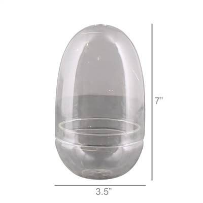 Sole Terrarium, Glass - Oval, Sm